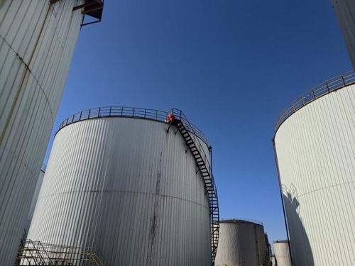 盘锦石化工厂以底价2245万成交，臻鑫玖投资引发行业关注